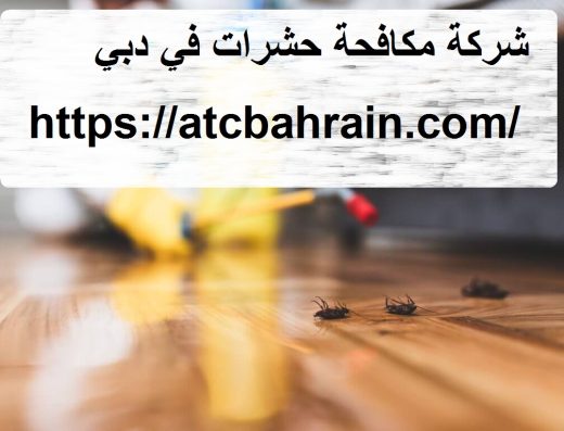 شركة مكافحة حشرات في دبي – عود الامل